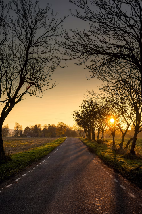 Golden Sunrise Along a Quiet Country Road